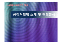 [소비자보호법] 공정거래법 소개 및 판례분석-1