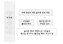 [광고홍보] 정부 PR에 대한 사례조사-13