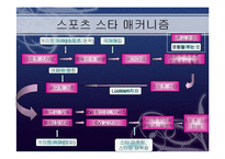 김연아 신드롬 분석 -민족주의와 비(非)민족주의를 중심으로-16