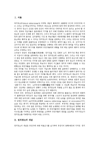 [정치광고, 정치, 광고] 정치광고의 개념, 정치광고의 중요성, 정치광고와 정치광고 종사자, 정치광고의 문제점과 과제, 향후 정치광고의 내실화 방안 분석-2