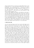[공격적정치광고, 정치광고] 공격적 정치광고의 실태, 공격적 정치광고의 문제점과 공격적 정치광고의 효과 요인, 공격적 정치광고의 효과 평가 및 공격적 정치광고의 시사점 분석-7