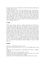 [공격적정치광고, 정치광고] 공격적 정치광고의 실태, 공격적 정치광고의 문제점과 공격적 정치광고의 효과 요인, 공격적 정치광고의 효과 평가 및 공격적 정치광고의 시사점 분석-9