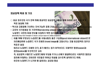 [뉴질랜드((New Zealand)이해 및 시장진출전략] 뉴질랜드((New Zealand)이해 및 시장진출전략-13