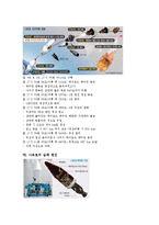 [우주과학] 나로호실패에서 보는 우리나라 우주개발 현황 및 대책-5