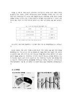 [기업분석] 경영 전략(농심)-5