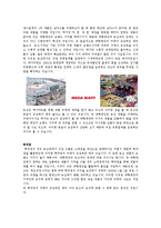 [기업분석] 경영 전략(농심)-13