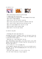 [경영학] 맥도날드 vs 파파이스-12