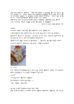 [경영학] 맥도날드 vs 파파이스-15