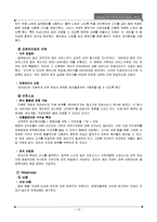 [국제경영론] 레인즈 인터내셔널(REINS INTERNATIONAL INC.) 사례-12
