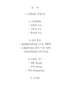 닌텐도 Nintendo DS 의 마케팅 분석-2