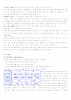 닌텐도 Nintendo DS 의 마케팅 분석-4