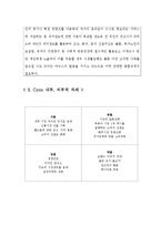 [마케팅원론] LG전자 CYON 싸이언 마케팅전략-10