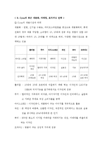 [마케팅원론] LG전자 CYON 싸이언 마케팅전략-20