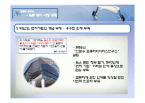 [조직구조] 안철수 연구소의 IMF 위기 극복 방법, 향후목표-4