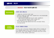 [소비자행동론] 소비자의 주의를 이끌어 매출에 영향을 끼치 광고 사례-15