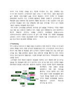 [국제마케팅] 라네즈 싱가포르 화장품 시장 마케팅전략-6