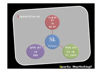 [스포츠마케팅] 롯데 자이언츠, Sk와이번스 스포츠마케팅-13