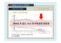 [농,식품 가격 분석론] 쇠고기 수입개방에 따른 쇠고기 가격변화-19