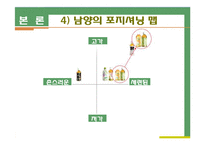 [경영학] 남양유업 기업분석-11