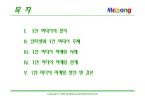 [소비자행동] 1인 미디어의 마케팅적 활용-2