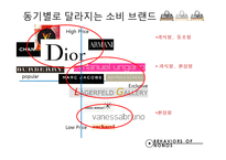 [소비자행태론] 노노스족 소비행태-18