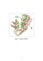 [화학] Enzyme Kinetics(효소반응 속도론)-9