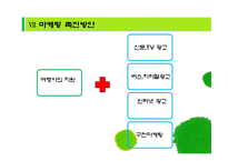 [관광, 사업계획서] 여행사와의 연계사업 -스포츠 종목맞춤식 배달 형 서비스-12