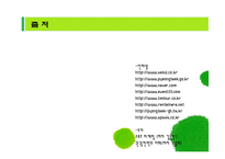 [관광, 사업계획서] 여행사와의 연계사업 -스포츠 종목맞춤식 배달 형 서비스-13