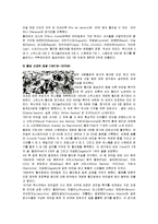 브라질의 축구 레포트-8
