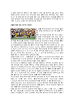 브라질의 축구 레포트-9