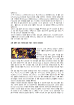 브라질의 축구 레포트-10
