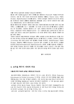브라질의 축구 레포트-11