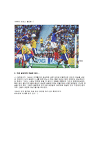 브라질의 축구 레포트-20