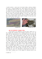 [환경] 한반도 대운하 사업과 환경문제 -수질오염을 중심으로-6