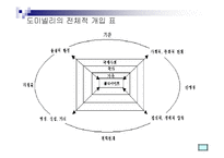 급진사회복지실천 모델-11