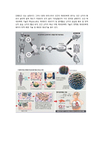 인간복제 레포트-7