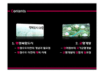 [행정학] 행복도시와 균형개발-2