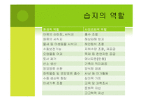 [환경] 생태계의 가치 -농촌, 어촌, 도시생태계를 통한 가치측정 접근-10