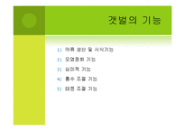 [환경] 생태계의 가치 -농촌, 어촌, 도시생태계를 통한 가치측정 접근-15