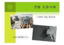 [환경] 생태계의 가치 -농촌, 어촌, 도시생태계를 통한 가치측정 접근-16