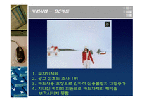 사례별 뱀파이어 광고-11