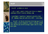 사례별 뱀파이어 광고-17
