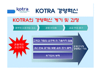 [경영정보] BPM을 통한 공공기관의 업무 프로세스 혁신, 그 가능성과 실현-16