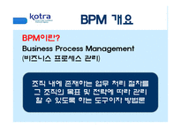[경영정보] BPM을 통한 공공기관의 업무 프로세스 혁신, 그 가능성과 실현-20