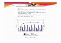[도시경제학] 부산의 교통문제와 대응방안-9