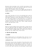 [형벌이론, 형벌, 위험사회, 형법] 형벌이론, 형벌의 종류, 형벌의 의의, 위험사회에 대한 형법과 형벌, 형벌의 평가 분석-8