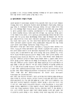 [형벌이론, 형벌, 위험사회, 형법] 형벌이론, 형벌의 종류, 형벌의 의의, 위험사회에 대한 형법과 형벌, 형벌의 평가 분석-9