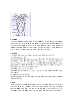 [간호학] [간호학]지주막하출혈[SAH]-3