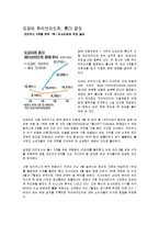 [마케팅,경영학원론] 도요타-10