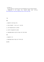 [매스컴] 인터넷과 새로운 정치주체의 형성 -촛불집회를 중심으로-8